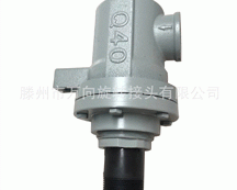 �ߜ����D(zhu��n)���^